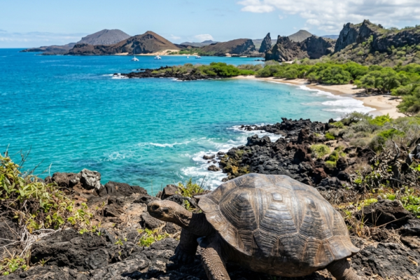10 Days Galápagos Explorer